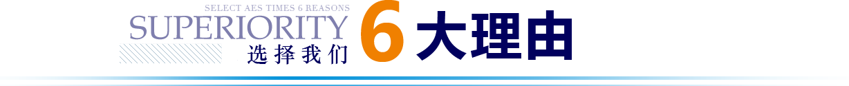 公司優(yōu)勢